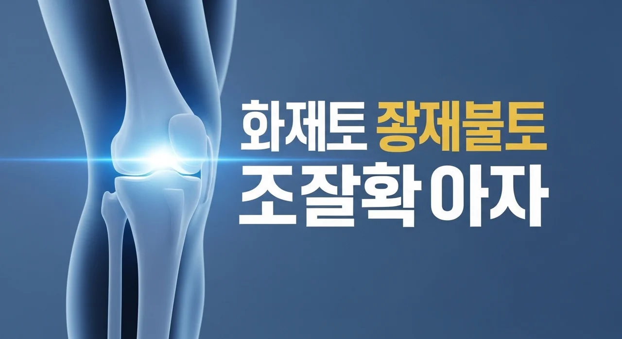 관절염의 증상과 치료방법 총정리: 원인부터 무릎 통증 완화법까지