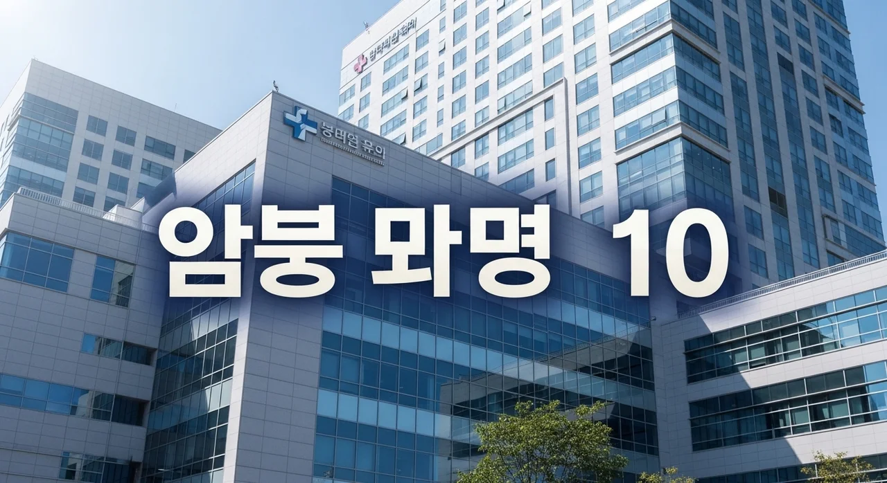 대한민국의 종합병원 베스트 10: 2026 대학병원 순위 및 암 치료 전문 의료기관 추천